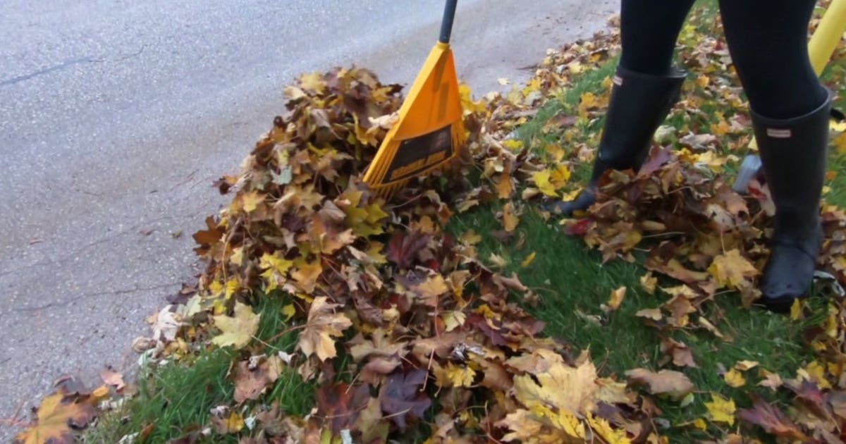 Millwakee Rake Milwaukee residents rake leaves into street now through Nov. 15 | FOX6 ...