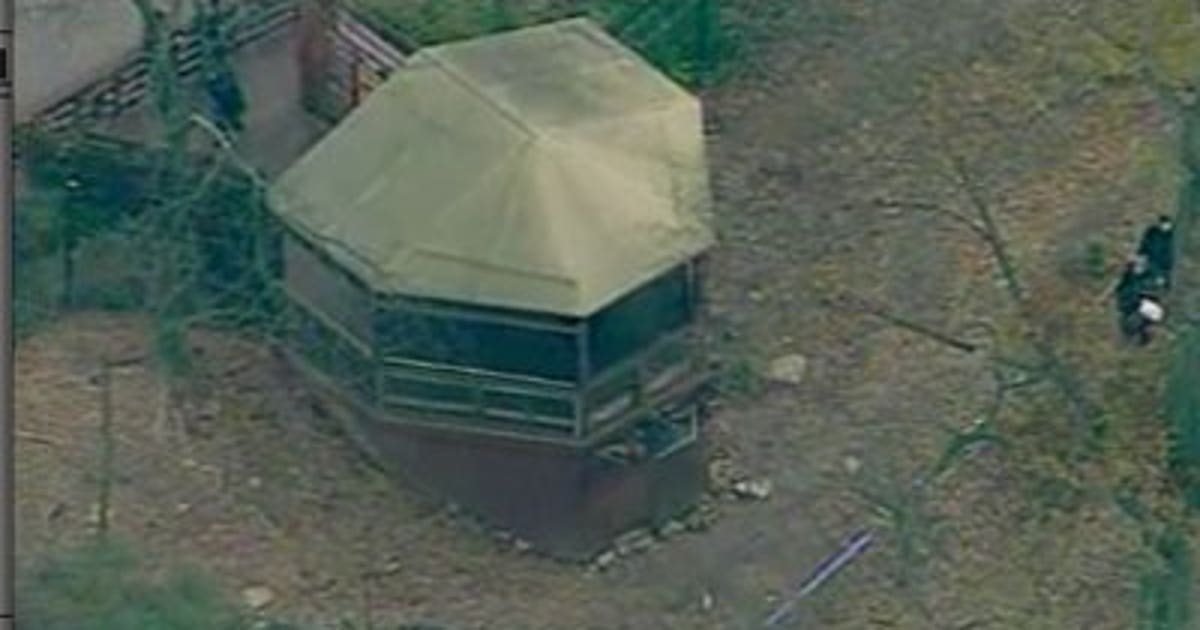 African painted dogs kill young boy at Pittsburgh Zoo | FOX6 Milwaukee