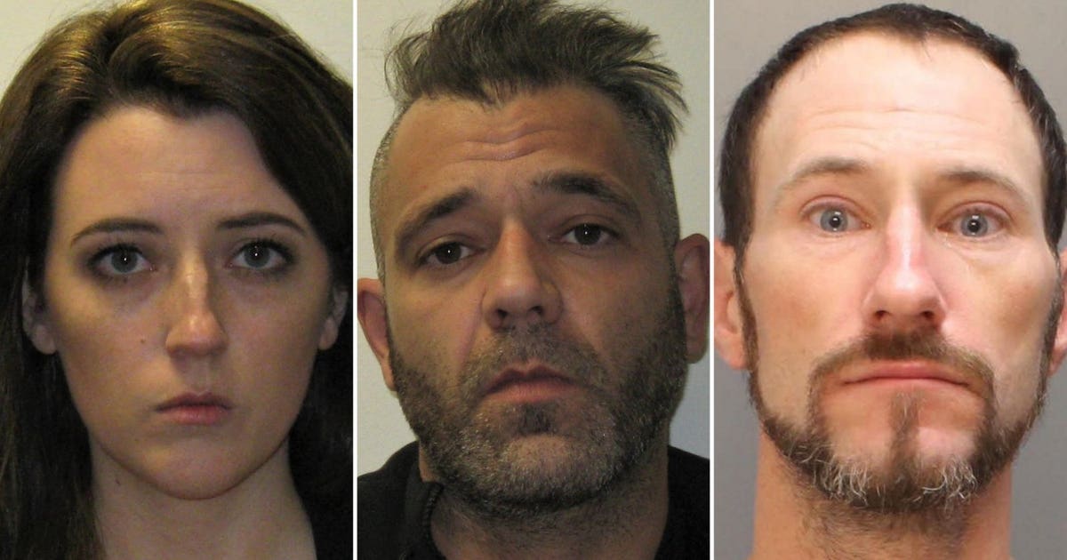 Woman pleads guilty in $400K GoFundMe scam involving homeless man ...