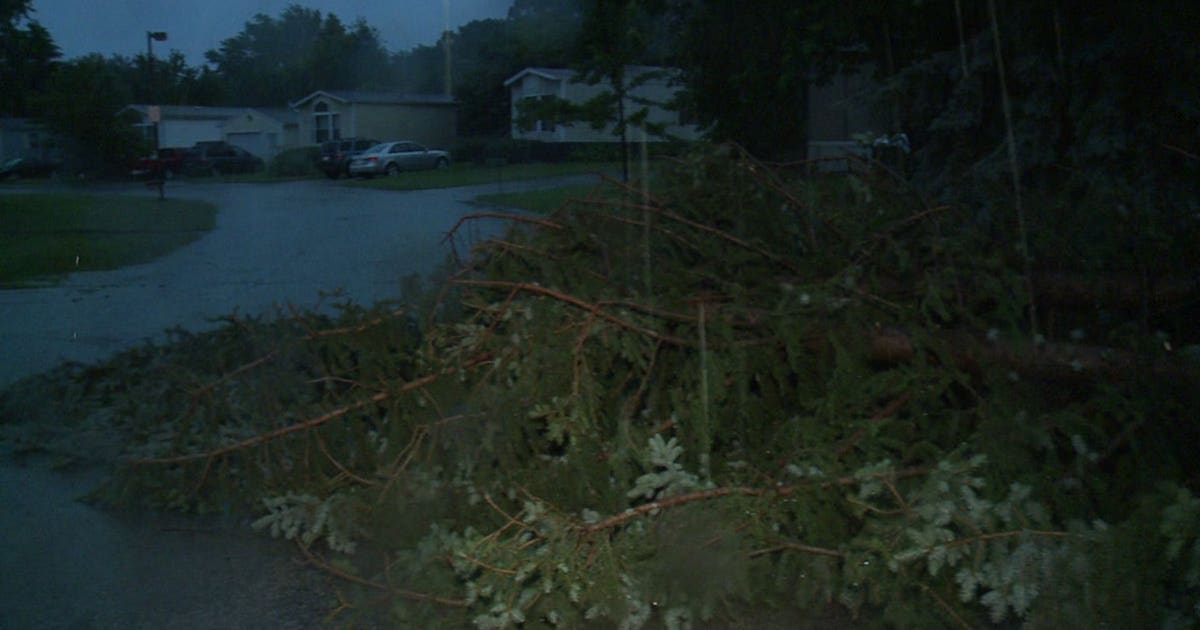 Strong storms roll through southeast Wisconsin, downing trees, power ...