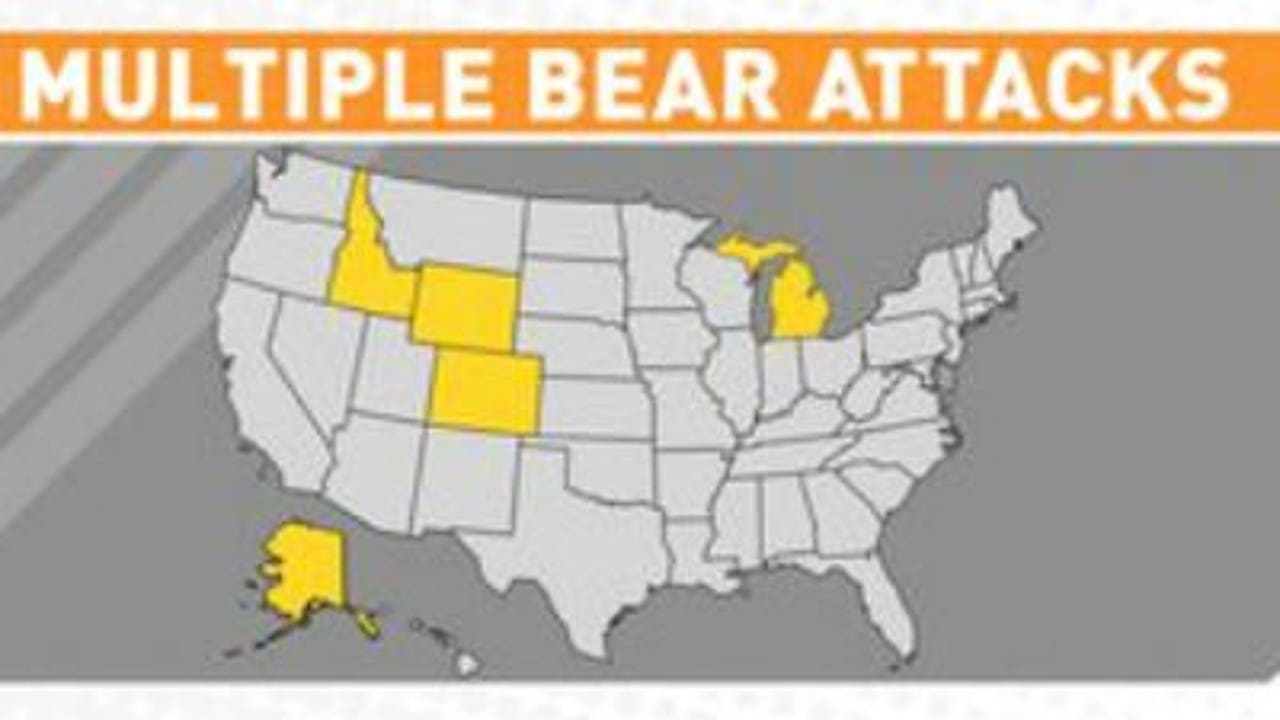 When bears attack 7 people mauled by bears in recent days
