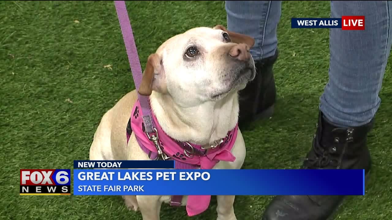 'It's about care' Great Lakes Pet Expo at State Fair Park