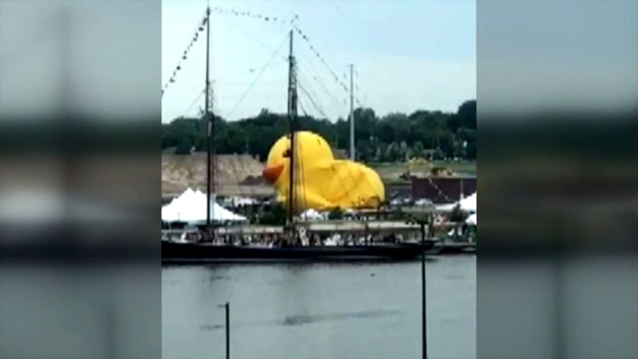 Wind wipes out world's largest duck in Green Bay | FOX6 Milwaukee