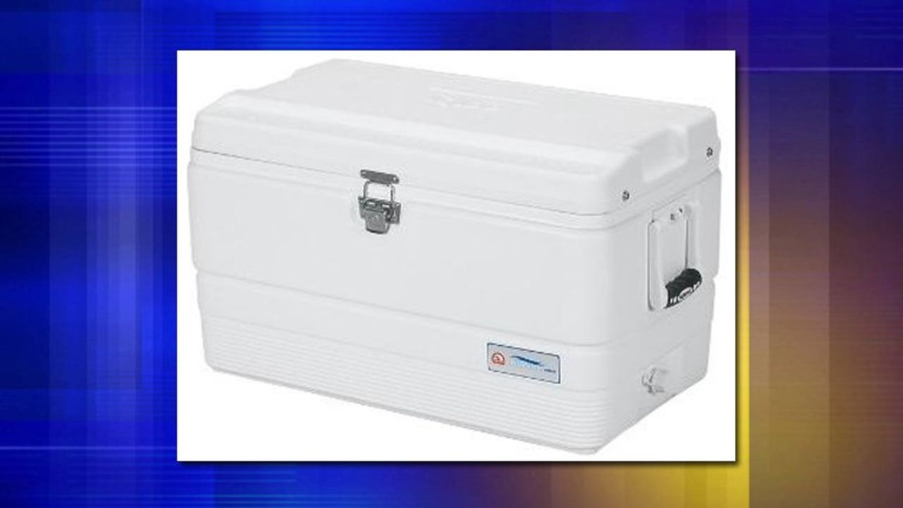 Igloo recall Coolers with latches could inadvertently close