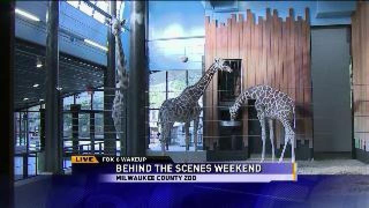 phoenix zoo free days phoenix zoo free days