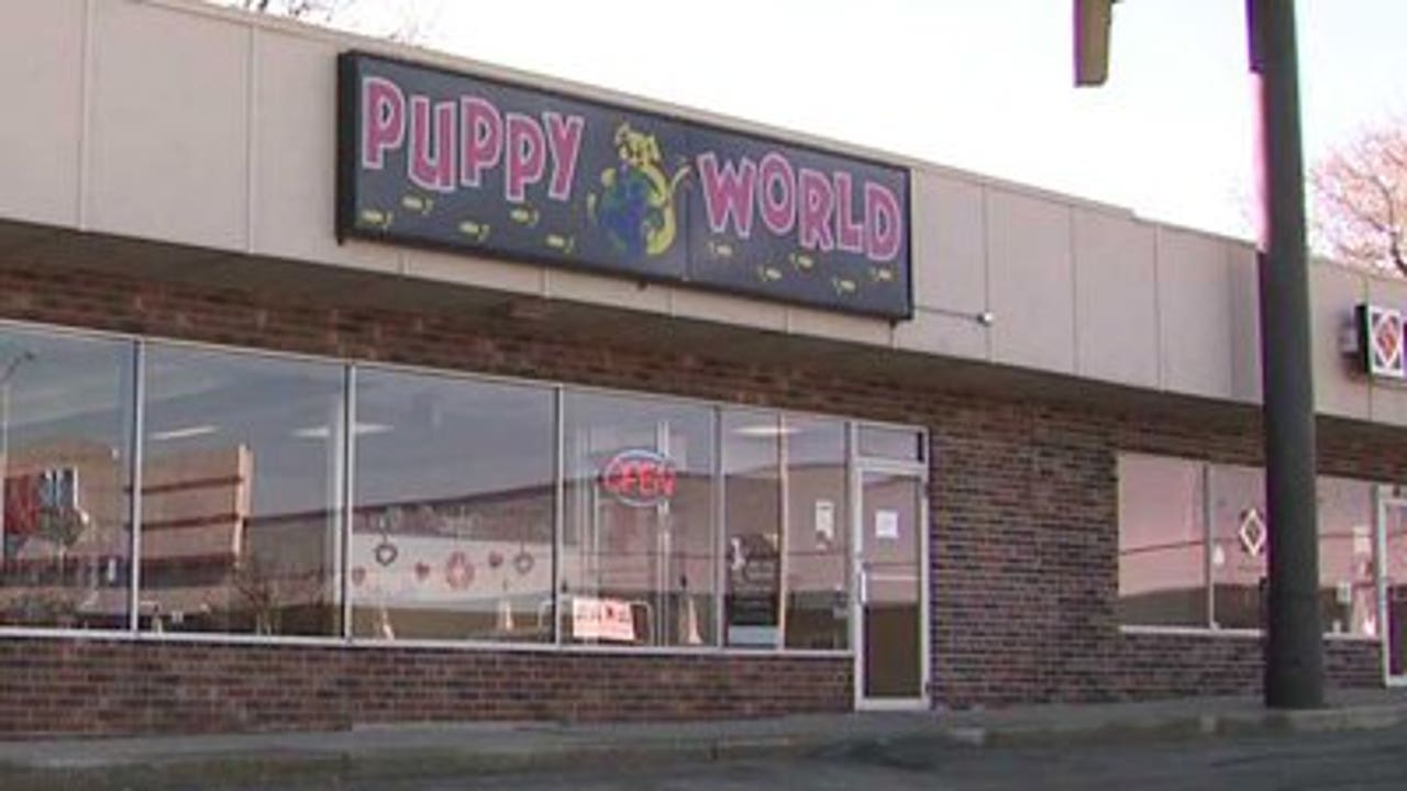 Puppy world store