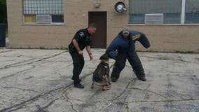 Laura learns how the Racine Police Department trains their K-9 officers to track down criminals