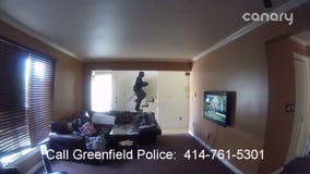 Can you help? Greenfield police looking to solve braze daytime armed burglary