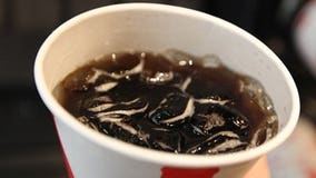 New York-size sodas get green light from appeals court
