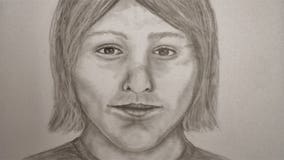 Recognize this person? Washington Co. Sheriff's Office releases sketch of suspected hit-and-run driver