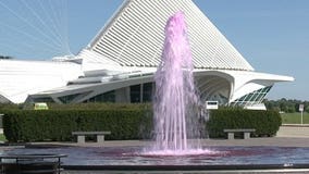 Fountain water dyed pink in support of Komen race