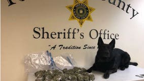 Racine County K-9 unit finds bags of marijuana during traffic stop; Chicago man admits it's his