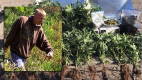 Probation for man convicted after marijuana found growing on private property in Caledonia