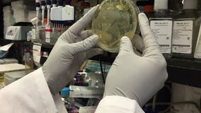 MHD can test '25-30 specimens a day' for coronavirus; federal funding could expand testing