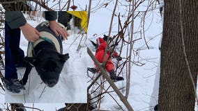 'Safely reunited with his owner:' Dog rescued after falling through ice on Milwaukee River