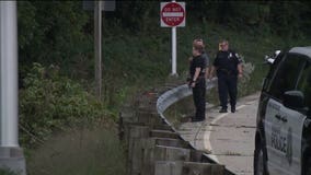 Driver dies after car leaves road at high rate of speed, becomes wedged between stump and tree