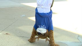 Bucks officials take part in 'handstand challenge' to raise awareness of need for foster families