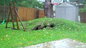 VIDEO: Tree uprooted during Hurricane Sandy caught on cam