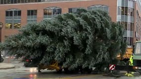 Streets to close for Christmas tree lighting ceremony: Pack your patience in downtown Milwaukee Thursday