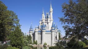 Disney theme parks may not reopen until 2021, Wall Street analyst says