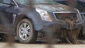 "It's a disturbing trend:" Suspects sought after 4 vehicles stolen from Manheim Auto Auction