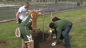 Bucks, ATC host first tree planting ceremony at McGovern Park