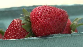 Strawberry Festival in Cedarburg canceled for 2021