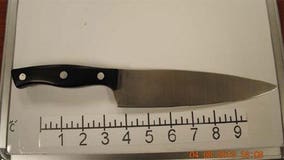 Man allegedly armed with butcher knife arrested at airport