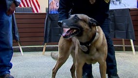 Brown Deer K-9 retires after 8 years of service