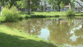 Sheriff: 16 people cited for public intoxication in Kosciuszko Park over holiday weekend