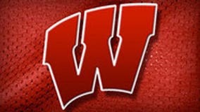 Badgers Spring into action