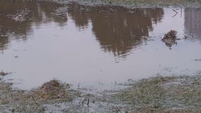 Most of Veterans Park closed early due to mud; H-D officials change end of parade route