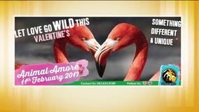 Wild at heart? Racine Zoo hosts Valentine's event Saturday, February 11