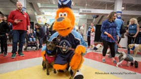 On 'Purina Dog Day,' Admirals made life 'ruff' for the Wild; winning 7-2