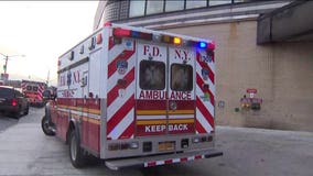 Smell of cooking fish suspected in death of food allergic 11-year-old boy