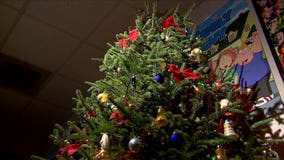 Convenience worth the cost? Contact 6 tests Amazon's new Christmas tree delivery service