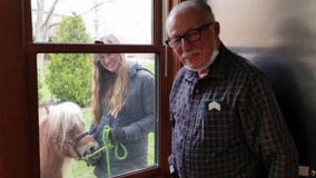 'Priceless:' Miniature horse paying window-to-window visit to seniors in care facilities