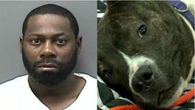 Competency exam ordered for Racine man accused of beating 10-month-old puppy with pipe