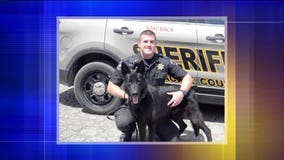 Man who appeared intoxicated, taunts Racine Co. K-9 before being arrested