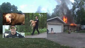 'A Lion King moment:' Bodycam captured Caledonia officer rescuing dog from house engulfed in flames