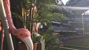 "Feel like they're at home:" Brewers welcome Marlins to Miller Park with fake palms, flamingos