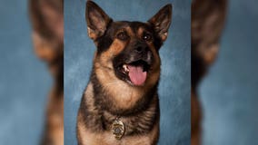 Oak Creek police K-9 Bronco passes away