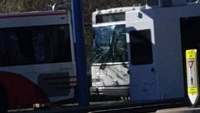 15 people with minor injuries after Disney World bus crash