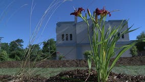 New "pocket park" in Milwaukee brings hope for safer, healthier community