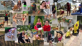 'Highlight of my week:' Milwaukee woman and her dog beat pandemic blues with costumed walks