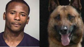 K9 officer helps Sheriff's officials arrest felon at lakefront