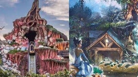 'Splash Mountain' ride at Walt Disney World, Disneyland to be re-themed