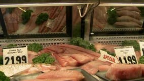 Seafood prices rising due to colder-than-usual winter