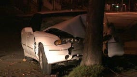 Car slams into tree, driver runs from the scene