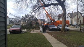 Pictures: Powerful winds take out tree limbs, power disrupted for thousands